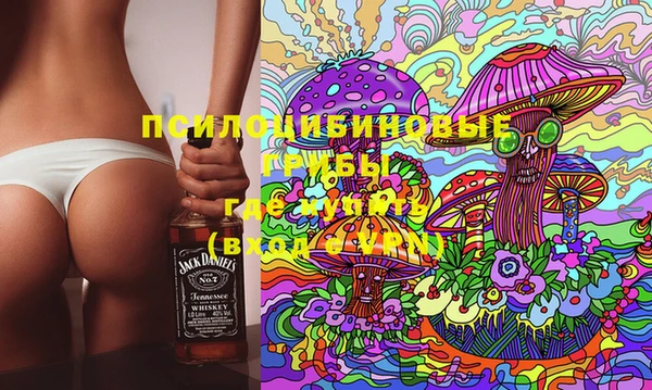 ГАЛЛЮЦИНОГЕННЫЕ ГРИБЫ Абинск