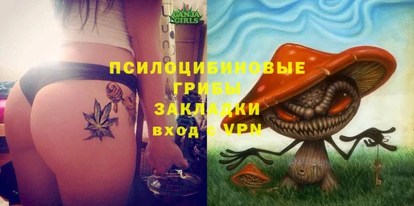 гашик Абаза