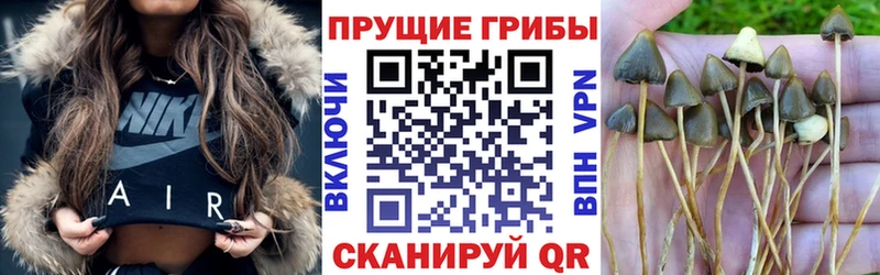 Псилоцибиновые грибы мухоморы ОМГ ОМГ зеркало Миллерово